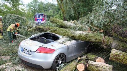 Bild: Alexander Auer
Unwetter zieht über die Landkreise Regensburg und Cham. Am Roither Weiher bei Neutraubling stürzen mehrere Bäume um.