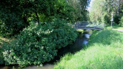 Bild: Hirsch
Der Sulzbach in Bruck soll renaturiert werden. Die Sielmann-Stiftung gehört zu den Netzwerkpartnern.