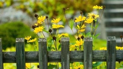 Bild: Maurizio Gambarini
In ihrem OTon beschreibt Lucia Seebauer wie sie den heimischen Gartenzaun streicht. Für sie ist es eine Arbeit, die nahezu in einer Endlosschleife verläuft.