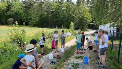 Bild: Kerstin Bodendörfer/exb
Beim Ferienprogramm des Obst- und Gartenbauvereins Fürnried waren für die Kinder viele Aufgaben vorbereitet.