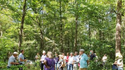 Bild: Josef Wieder
Die Waldbegehung des Weidener Stadtrats hat Tradition. Stadtförster Wolfgang Winter (Zweiter von links) machte auf die großen Gefahren durch Klimawandel, Käferbefall usw. aufmerksam.