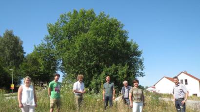 Bild: Resi Beiderbeck
Bei einem Besuch in der Gemeinde Brennberg im Landkreis Regensburg machte sich eine Delegation aus Ursensollen ein Bild von den Maßnahmen, die dort in Sachen Biodiversität in Gang gekommen sind.