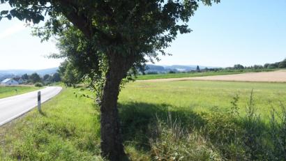 Bild: Gabi Schönberger
Südlich des Breiten Weges sollen ein Wohn- und möglicherweise ein Gewerbegebiet entstehen. Zuvor will der Stadtrat den Flächensparmanager der Regierung hören und sich wegen einer Machbarkeitsstudie beraten.