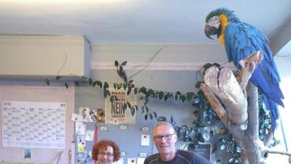 Bild: exb
Bei "Charlys Werkstatt!" handelt es sich um einen Blumenladen in den Verkaufsräumen einer ehemalige Kfz-Werkstatt mit vorgelagerter Tankstelle. Besonderer Hingucker sind die drei Papageien, die Karl Beer in den Geschäftsräumen hält.