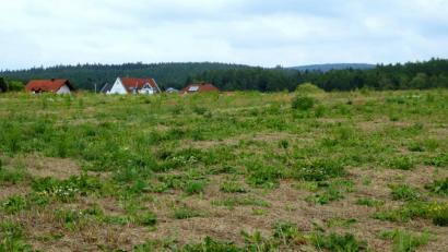 Bild: fsb
Auf dieser ehemaligen landwirtschaftlich genutzten Fläche, die derzeit brach liegt, entsteht das neue Baugebiet Gladiolenweg, für das nun der Gemeinderat strikte Vergabekriterien beschloss
.