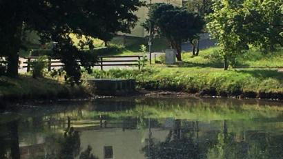 Bild: fpoz
Dem gesunkenen Wasserstand am Dorfweiher in Lengenfeld soll auf den Grund gegangen werden.