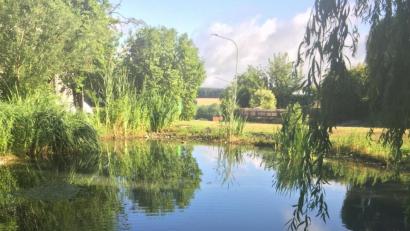 Bild: gm
Der Pittersberger Dorfweiher vor etwa drei Wochen mit noch vollem Wasserstand sowie idyllischer Einbindung durch die Natur. Alle hatten ihre besondere Freude daran, ob Mitglieder der Gemeinschaft oder Nachbarn ringsum und auch fremde Besucher.