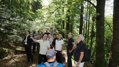 Bild: Gerhard Götz
Immer wieder bleibt die Wandergruppe stehen, genießt die Ruhe oder betrachtet besondere Naturschönheiten.