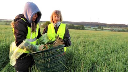 Bild: ubb
Mit einfachen Körben wurden sage und schreibe 300 Rehkitze innerhalb von vier Monaten aus den Wiesen getragen. Nach der Mahd wurden sie von den Vereinsmitgliedern wieder freigesetzt. Die Einsätze erforderten über Wochen hinweg einen hohen emotionalen wie zeitlichen Aufwand von den durchwegs ehrenamtlich tätigen Vereinsmitgliedern. Aber alle wirkten gern mit, um so viele als möglich von diesen zauberhaften, kleinen Wesen vor dem Mähtod zu bewahren.