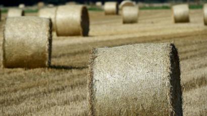 Symbolbild: Holger Hollemann/dpa
Bei Feldarbeiten (Symbolbild) )ist in Pommelsbrunn ein Landwirt verunglückt.