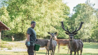 Bild: lsc
Das Herz von Mario Merl schlägt für seinen Traumberuf: Tierpfleger im Tierpark Höllohe.