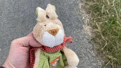 Bild: Dippold/exb
Stoffhase Schnuffel sucht sein Zuhause – mit Hilfe von Neustadts Bürgermeister Sebastian Dippold.