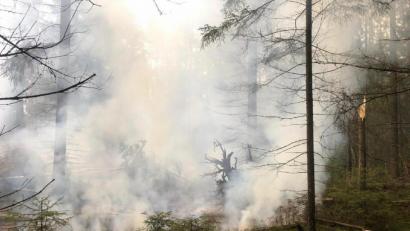 Symbolbild: Feuerwehr Weiden/exb
Zum Teil galt und gilt für den Landkreis die höchste Waldbrand-Warnstufe. Die Feuerwehr erinnert an Verhaltensregeln, damit es nicht zum Ernstfall kommt, ist aber gerüstet.