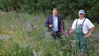 Bild: jr
Stolz präsentieren Bürgermeister Stefan Grillmeier (links) und Stadtgärtner Willi Kilian die heuer erst angesäte Blühwiese unterhalb des Friedhofs bei der Kläranlage.