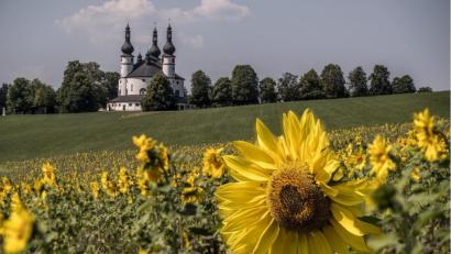 Bild: Bernhard Eckstein/exb
Landwirt Josef Hecht aus Münchenreuth hat unweit der Kapplkirche eine Blühwiese angelegt.