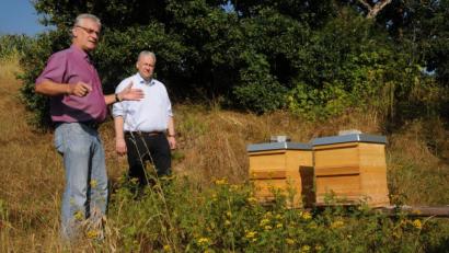 Bild: Joachim Gebhardt
Imker-Chef Helmut Heuberger stellt dem Landrat den Lehrbienenstand vor. Hier können bald auch körperbehinderte Menschen ausgebildet werden.