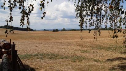 Bild: Lowak
Östlich von Eppenreuth soll eine Freiflächenphotovoltaikanlage entstehen.