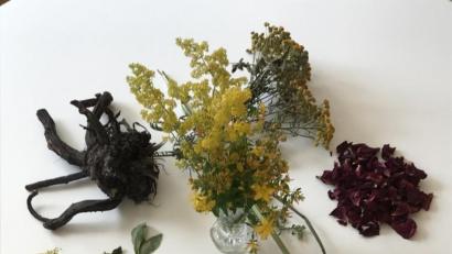 Bild: soj
Die Teilnehmer konnten ausgewählte Kräuter begutachten.