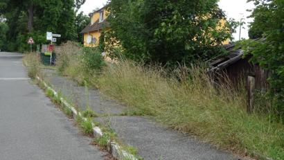 Bild: Houschka
Die ehemalige Gartenlaube (rechts) ist am Zusammenbrechen, und entlang des Gehsteigs herrscht Wildwuchs-Chaos. Das geht seit Jahren so, doch bei der Deutschen Bahn ist dafür offenbar niemand zuständig. Schon den ehemaligen Bürgermeister Hans Schrott hat das geärgert. Und auch sein Amtsnachfolger Christian Ziegler ist sauer.