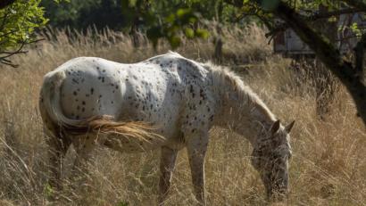 Bild: Boris Roessler/dpa
Symbolbild.