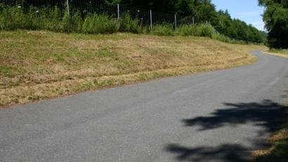 Bild: Niklas/exb
Viel zu früh setzte die Stadt der Blühwiese in Weidener Westen in diesem Jahr ein Ende. Sehr zum Ärger einiger Naturliebhaber.
