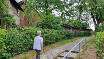 Bild: Josef Wieder
27 Meter lang ist die "städtische" Weißdorn-Hecke (links), für die Helga Suttner die Pflegepatenschaft übernommen hat, um sie vor der Beseitigung durch die Stadt zu bewahren. Die Hecke (rechts) jenseits des Gehsteigs hin zur Hofackerstraße, pflegt die Stadt aber weiterhin selbst.