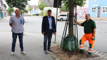 Bild: sne
Oliver Fehr, Edgar Knobloch und Alexander Eismann (von links) haben sich etwas zur Verbesserung der Bewässerung der Bäume im Stadtgebiet einfallen lassen.