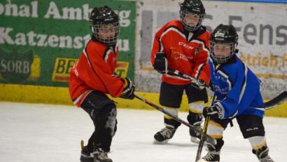 Bild: ref
Der Eishockey-Nachwuchs des ERSC Amberg soll demnächst wieder aufs Eis gehen können.