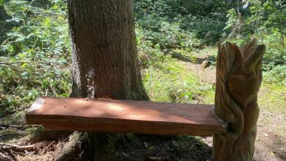 Bild: Polizei Amberg
Carving-Künstler Karl-Heinz Stoiber, ein Künstler, der mit der Motorsäge arbeitet, hat im Wald bei Gailoh eine besonders kunstvolle Bank geschaffen. Die ist jetzt von einem Unbekannten zerstört worden.