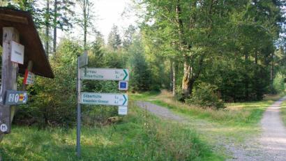 Bild: Schreiber
Kurz hinter dem Parkplatz "Planer Höhe" führen ausgewiesene Radwege auf die Silberhütte. Auf dem Wanderweg links geht es ebenfalls auf die Silberhütte, vorbei an der imposanten Burgruine Schellenberg. Diese Strecke ist für Mountainbiker oft reizvoller.
