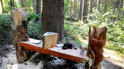 Bild: Stephan Huber
Um diese (inzwischen wieder reparierte) Bank geht es: Ein unbekannter hat das Holzkunstwerk im Wald bei Gailoh (Amberg) beschädigt. Waldbesitzer Johann Heinrich hat sich darüber so geärgert, dass er jetzt eine Belohnung für die Ermittlung des Täters aussetzt.