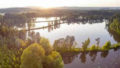 Bild: Tourismuszentrum Oberpfälzer Wald/exb
Teichlandschaft Muckenthal: In wenigen Tagen startet die Karpfensaison im Land der 1000 Teiche.