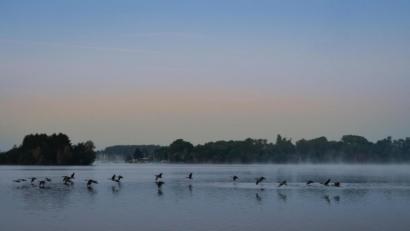 Bild: fabii_fox – stock.adobe.com
Vögel schweben über einem idyllischen See. Die Oberpfalz lädt zum Urlauben ein.