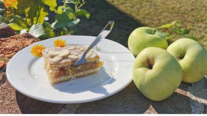 Bild: Heike Heindl/exb
Der gedeckte Apfelkuchen von Heike Heindl wird auf dem Backblech gebacken. Er lässt sich gut einfrieren.