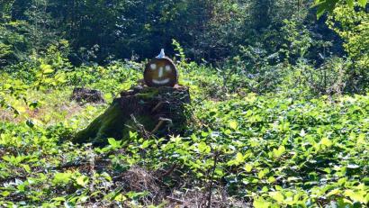 Bild: rpp
Wer wohl dieses Männchen am Rundwanderweg der Kulmstadt aufgestellt hat?