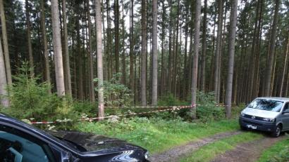 Bild: rti
Das Waldstück, in dem ein Paar einen menschliche Schädel gefunden hat, ist abgesperrt. Die Polizei ist vor Ort.