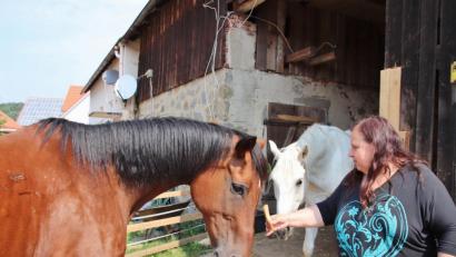 Bild: Dobler
Manuela Meyer liebt ihre beiden älteren Pferde und glaubt sich vom Veterinäramt zu Unrecht beschuldigt, die Tiere auf ihrem Anwesen nicht artgerecht zu halten.