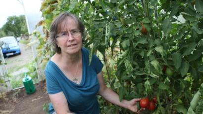 Bild: ads
Gastwirtin Christl Obermeier aus Gebenbach lebt ihre Liebe zu den Tomaten auf besondere Art aus und kultiviert rund 250 Sorten dieses vielfältigen Gemüses. 60 Sorten hat sie heuer im Gewächshaus und im Freiland angebaut.