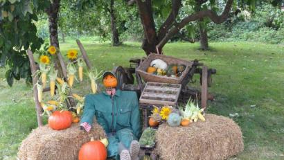Bild: do
Ein stimmungsvoller Hingucker ist diese "Kürbisfamilie" in Haselbrunn