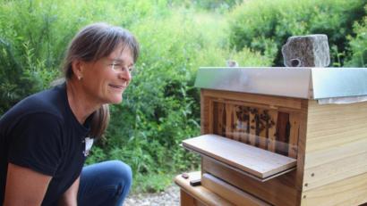 Bild: fsb
Andrea Mack gewährt einen Blick in den neuen Schau-Bienenstock.