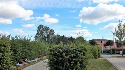 Bild: stg
Auf der freien Rasenfläche rechts von der Hecke sollen weitere neun Urnenplätze entstehen.