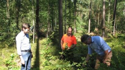 Bild: knh
Am nachwachsenden Laubbaumbestand erklären Förster Philipp Bahnmüller (rechts) und Erwin Fischer (Mitte) dem Landtagsabgeordneten Stephan Oetzinger (links), wie durch Sturmschäden entstandene Lücken im Wald wieder wirksam geschlossen werden können.