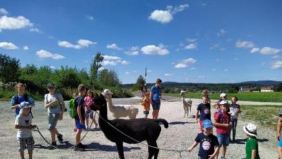 Bild: ld
Groß war die Begeisterung der Kinder für dieses Angebot im Ferienprogramm