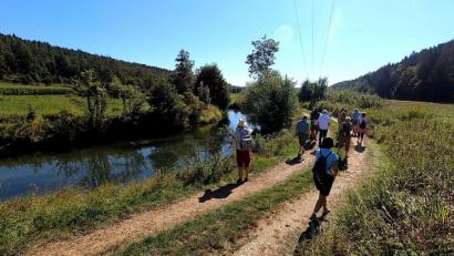 Bild: Jonas Nelhiebel, Naturpark Hirschwald/exb
Die Exkursion führte entlang der Lauterach zu einer Reuse, die Aufschluss über die Krebs-Population geben soll.