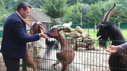 Bild: Hirsch
Landrat Thomas Ebeling lockte die Ziege mit Futter an den Zaun.