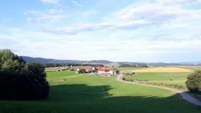 Bild: mnt
Die Flurwerkstatt für den Bereich Thanstein-Tännesried soll Potentiale eines Flurneuordnungsverfahrens aufzeigen. Das Foto zeigt einen Teil des Verfahrensgebiets mit Blickrichtung nach Tännesried.