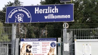 Bild: Thomas Dobler
Steigende Kosten für Personal, tierärztliche Versorgung und Futter bei sinkenden Einnahmen: Corona hat den Schwandorfer Tierschutzverein als Träger des Tierheims in Nöte gebracht. Er bat nun um weitere finanzielle Unterstützung und stieß beim Pfreimder Stadtrat auf offene Ohren.