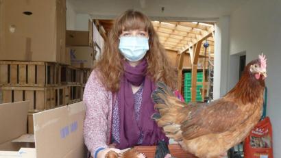 Bild: Portner
Neugierig und recht zutraulich schauen diese Hühner um sich, als Monika Menzl-Hirmer sie am Verkaufstag von der Kiste in die Schachtel packt. Zuvor hat sie die Tiere nach Vorbestellung im Stall eingefangen. Die Kunden müssen aufgrund der Corona-Hygieneregeln an der Ausgabestelle im Hof warten.