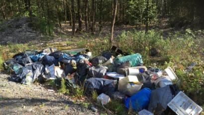 Bild: jr
Eine größere Menge an Müll und Unrat hat ein Unbekannter an einem Waldweg unmittelbar an der Staatsstraße TIR40 nahe Themenreuth abgelegt, kurz hinter der Abzweigung von der B15. Bürgermeister Johann Burger hat Anzeige erstattet und bittet um Hinweise.