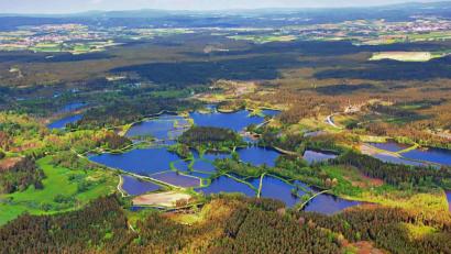 Bild: Thomas Sporrer
Auf dem Fliegerfoto, das Thomas Sporrer aus dem Cockpit von Dr. Albert Frank aufgenommen hat, ist die strahlende Teichlandschaft eindrucksvoll zu sehen. Links hinten taucht Wiesau, rechts Mitterteich auf.
